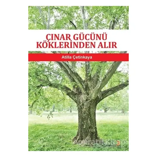 Çınar Gücünü Köklerinden Alır - Atilla Çetinkaya - Cinius Yayınları