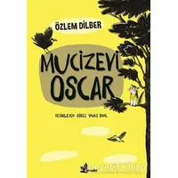 Mucizevi Oscar - Özlem Dilber - Çınar Yayınları