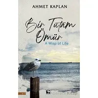 Bir Tutam Ömür - Ahmet Kaplan - Çınaraltı Yayınları