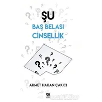 Şu Baş Belası Cinsellik - Ahmet Hakan Çakıcı - Çıra Yayınları