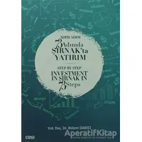 Adım Adım 73 Adımda Şırnakta Yatırım - Bülent Darıcı - Çizgi Kitabevi Yayınları