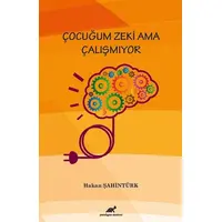 Çocuğum Zeki Ama Çalışmıyor - Hakan Şahintürk - Paradigma Akademi Yayınları