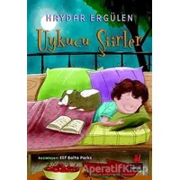 Uykucu Şiirler - Haydar Ergülen - Kırmızı Kedi Çocuk