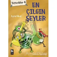 Tittirikler 4 - En Çılgın Şeyler - Aytül Akal - Bilgi Yayınevi