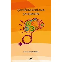 Çocuğum Zeki Ama Çalışmıyor - Hakan Şahintürk - Paradigma Akademi Yayınları