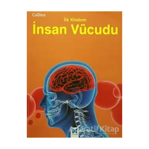 Collins İlk Kitabım İnsan Vücudu - Jen Green - Mavi Kelebek Yayınları