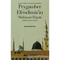 Peygamber Efendimizin Muhtasar Hayatı - Ahmed Cevdet Paşa - Çamlıca Basım Yayın