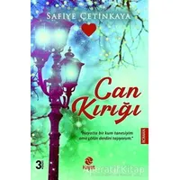 Can Kırığı - Safiye Çetinkaya - Hayat Yayınları