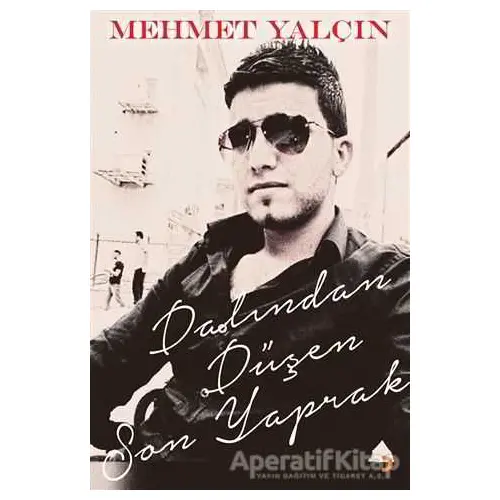 Dalından Düşen Son Yaprak - Mehmet Yalçın - Cinius Yayınları