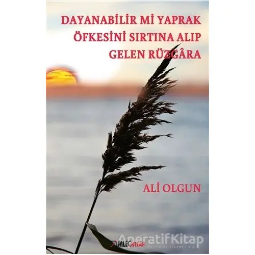 Dayanabilir mi Yaprak Öfkesini Sırtına Alıp Gelen Rüzgara - Ali Olgun - İmleç Kitap