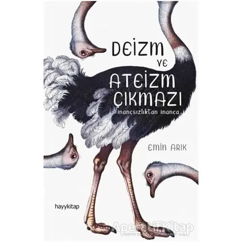 Deizm ve Ateizm Çıkmazı - Emin Arık - Hayykitap