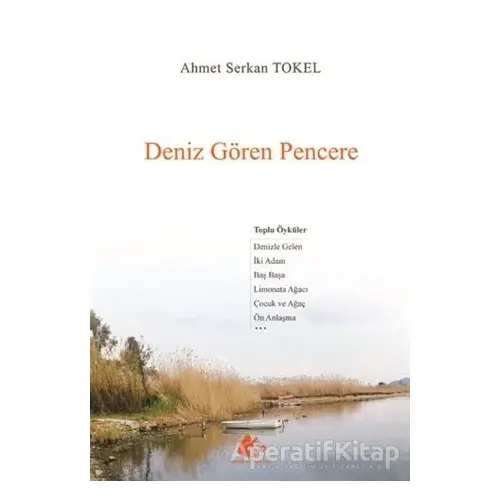 Deniz Gören Pencere - Ahmet Serkan Tokel - Meşe Kitaplığı