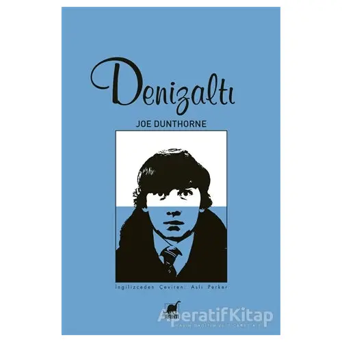 Denizaltı - Joe Dunthorne - Ayrıntı Yayınları