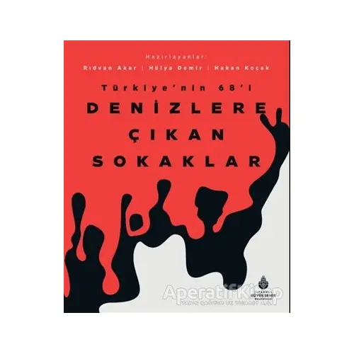 Denizlere Çıkan Sokaklar - Kolektif - İBB Yayınları