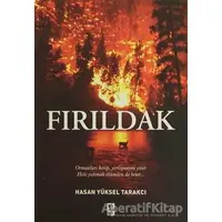 Fırıldak - Hasan Yüksel Tarakçı - Karınca Yayınları