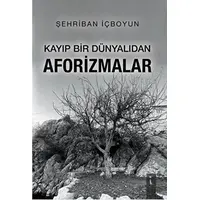 Kayıp Bir Dünyalıdan Afo-rizmalar - Şehriban İçboyun - İkinci Adam Yayınları