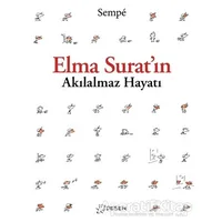 Elma Suratın Akılalmaz Hayatı - Jean-Jacques Sempe - Desen Yayınları