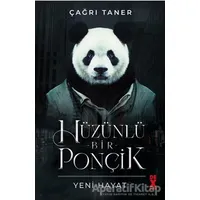 Hüzünlü Bir Ponçik - Çağrı Taner - Dex Yayınevi