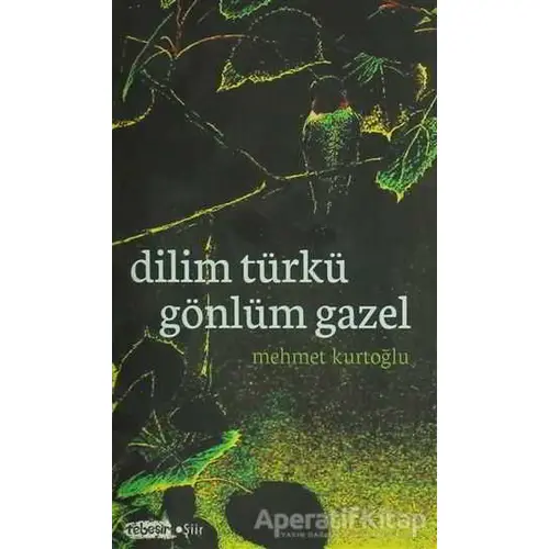 Dilim Türkü Gönlüm Gazel - Mehmet Kurtoğlu - Tebeşir Yayınları