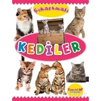 Çıkartmalı Kediler - Kolektif - Yumurcak Yayınları