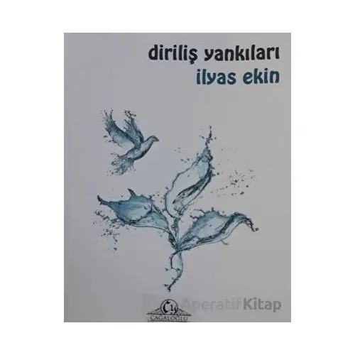 Diriliş Yankıları - İlyas Ekin - Cağaloğlu Yayınevi