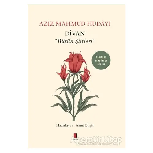 Divan - Bütün Şiirleri - Aziz Mahmud Hüdayi - Kapı Yayınları