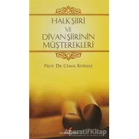 Halk Şiiri ve Divan Şiirinin Müşterekleri - Cemal Kurnaz - Berikan Yayınevi