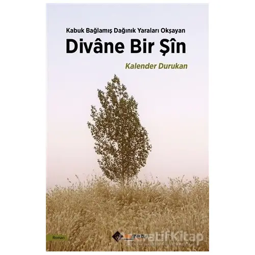 Divane Bir Şin - Kalender Durukan - Aryen Yayınları