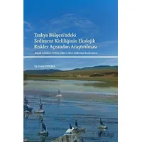 Trakya Bölgesindeki Sediment Kirliliğinin Ekolojik Riskler Açısından Araştırılması