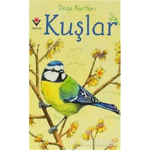 Doğa Kartları - Kuşlar - Emily Bon - TÜBİTAK Yayınları