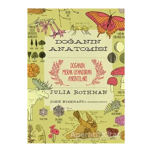 Doğanın Anatomisi - Julia Rothman - ODTÜ Geliştirme Vakfı Yayıncılık