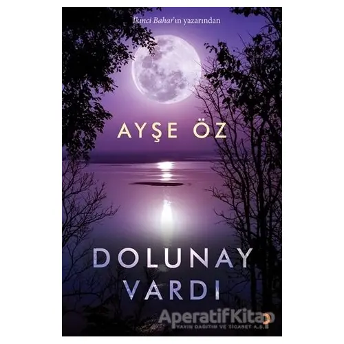 Dolunay Vardı - Ayşe Öz - Cinius Yayınları