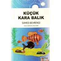 Küçük Kara Balık - Samed Behrengi - Somut Yayınları