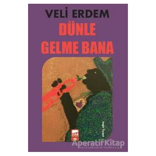 Dünle Gelme Bana - Veli Erdem - Broy Yayınları