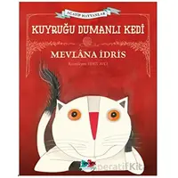 Kuyruğu Dumanlı Kedi - Mevlana İdris - Vak Vak Yayınları