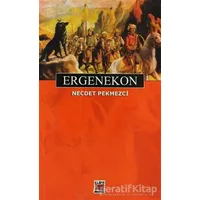 Ergenekon - Necdet Pekmezci - Elips Kitap