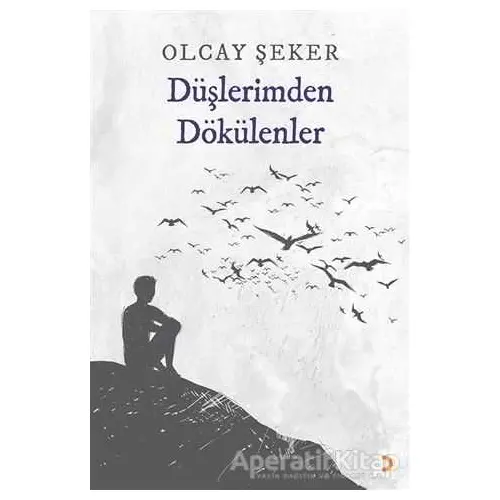 Düşlerimden Dökülenler - Olcay Şeker - Cinius Yayınları