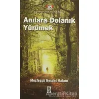 Anılara Dolanık Yürümek - Meşfeşşü Necdet Hatam - Karınca Yayınları