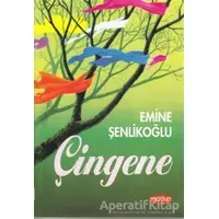 Çingene - Emine Şenlikoğlu - Mektup Yayınları