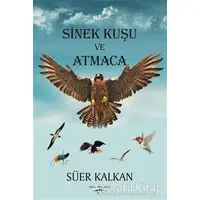 Sinek Kuşu ve Atmaca - Süer Kalkan - Sokak Kitapları Yayınları