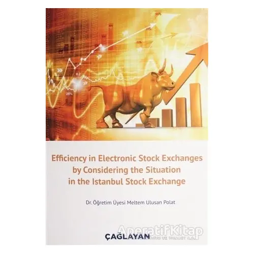 Efficiency in Electronic Stock Exchanges by Considering the Situation in the Istanbul Stock Exchange