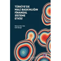 Türkiye’de Mali Baskınlığın Finansal Sisteme Etkisi - Salih Barışık - Efil Yayınevi