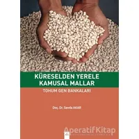 Küreselden Yerele Kamusal Mallar - Sevda Akar - Dora Basım Yayın