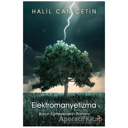 Elektromanyetizma - Halil Can Çetin - Cinius Yayınları