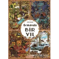 Ormanda Bir Yıl - Emilia Dziubak - Teleskop Popüler Bilim