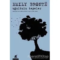 Uğultulu Tepeler - Emily Bronte - Ayrıntı Yayınları