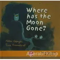 Where Has The Moon Gone ? - Reza Hemmatirad - UMP Yayınları