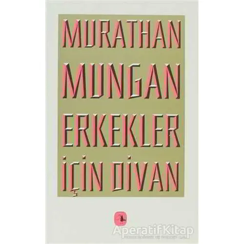 Erkekler İçin Divan - Murathan Mungan - Metis Yayınları