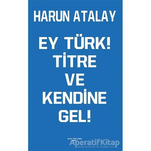 Ey Türk! Titre Ve Kendine Gel! - Harun Atalay - Sokak Kitapları Yayınları