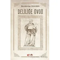 Deliliğe Övgü - Desiderius Erasmus - Fark Yayınları